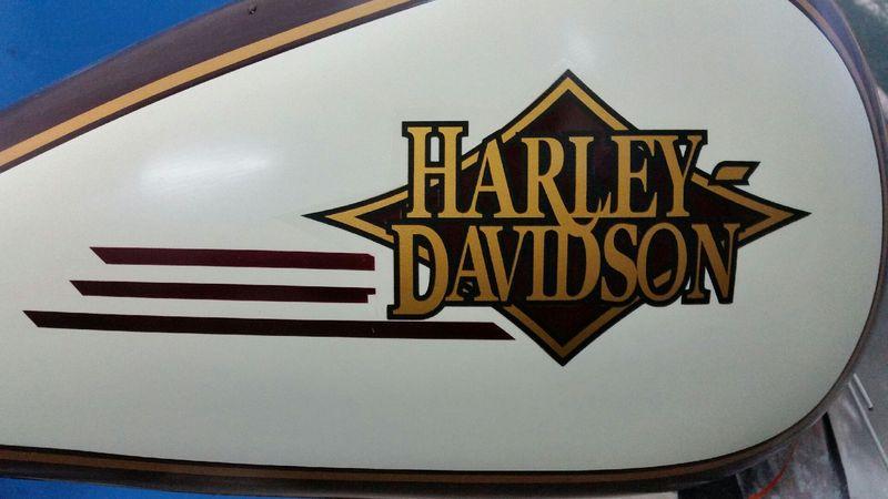 napis harley davidson